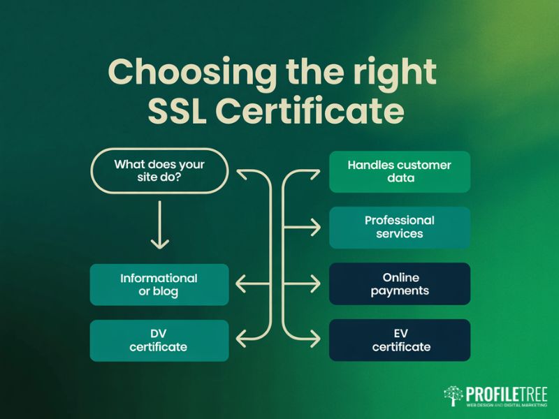 Flat vector decision tree helping businesses choose the right SSL certificates type based on their website purpose and data handling