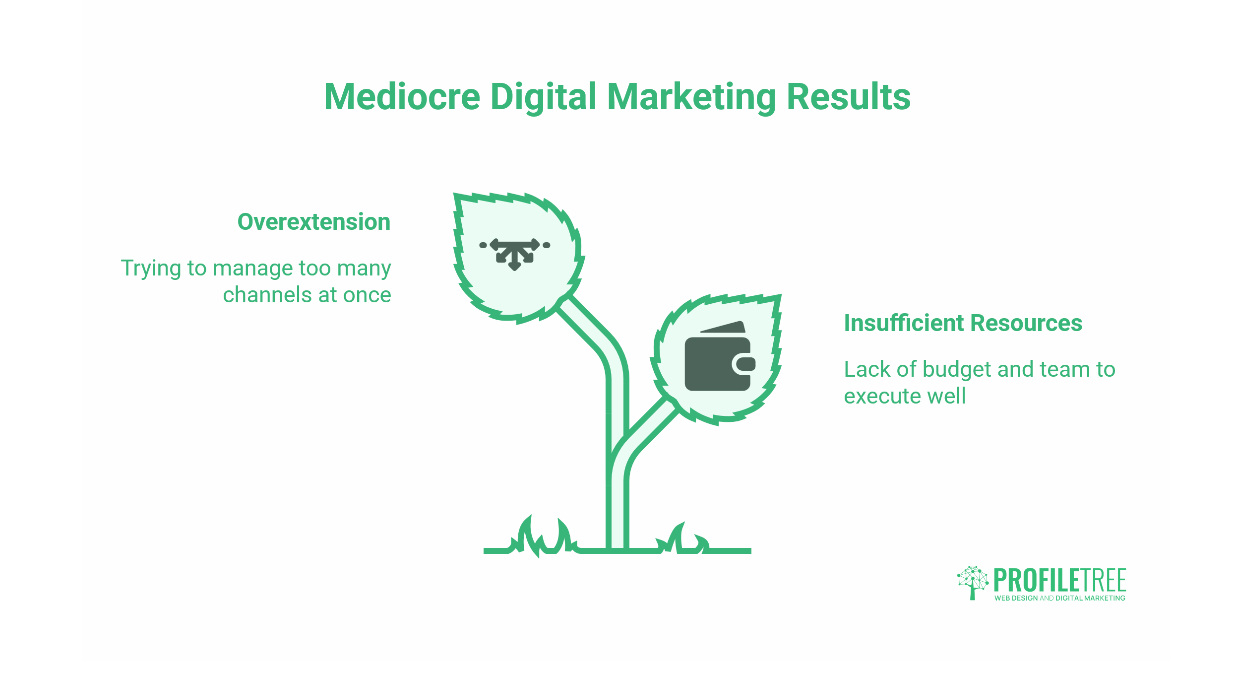 Digital Marketing Examples