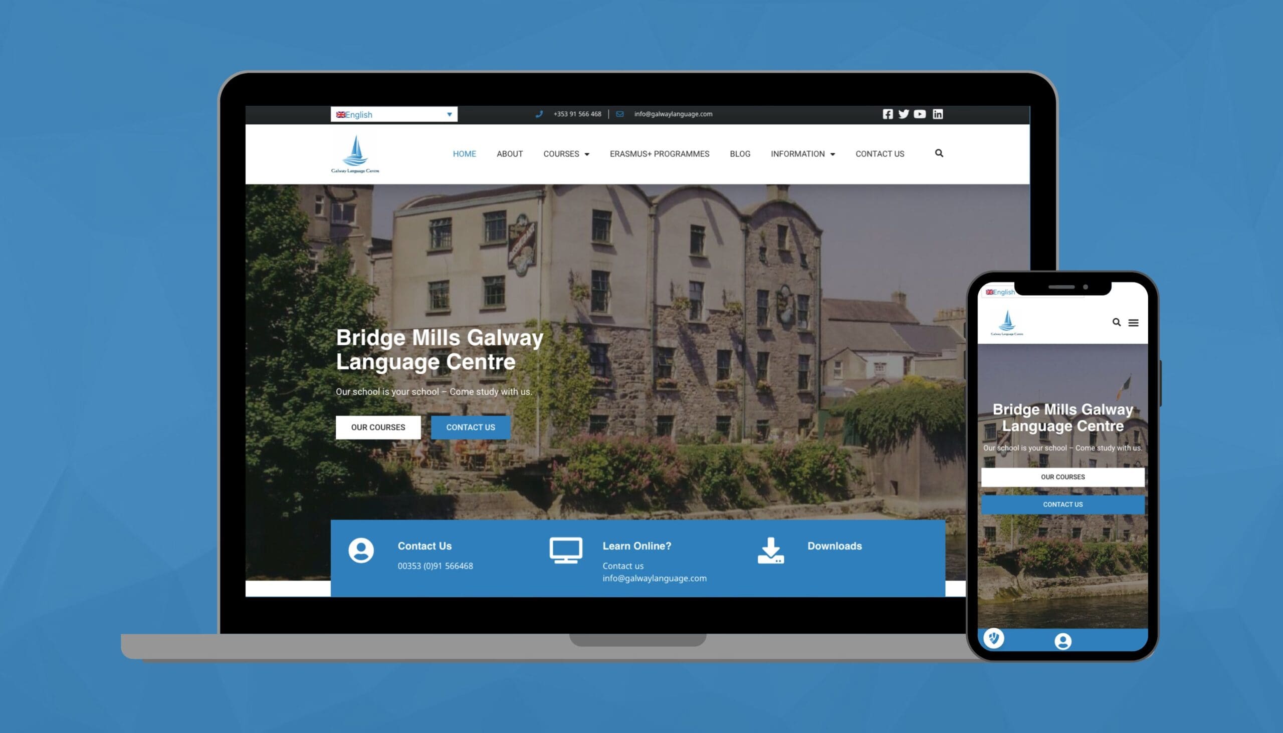 Multilingual Website Design: A Case Study Review