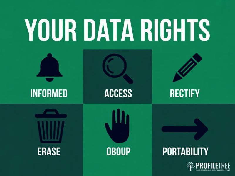 Data Rights in AI overview graphic showing six individual rights including access, erasure and the right to object to automated decisions