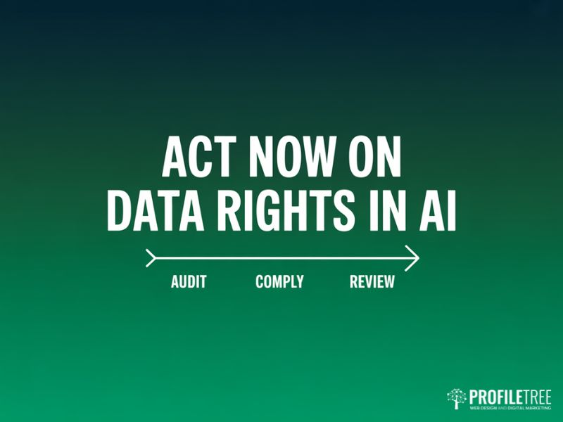 Data Rights in AI action timeline flat graphic showing three steps: audit, comply and review for UK businesses