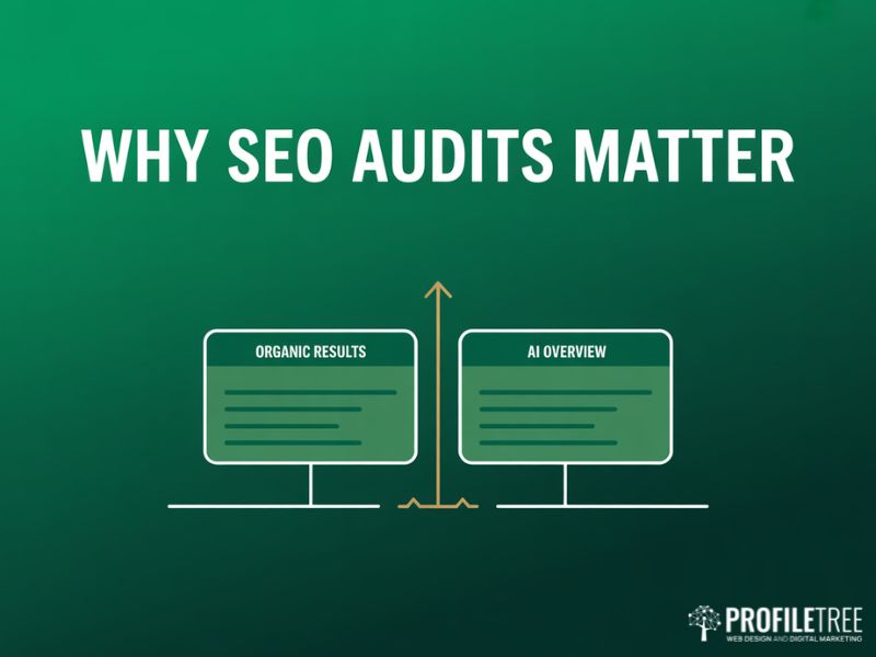 Diagram illustrating why SEO Audits matter across two search surfaces showing organic results and AI Overviews sharing a common foundation