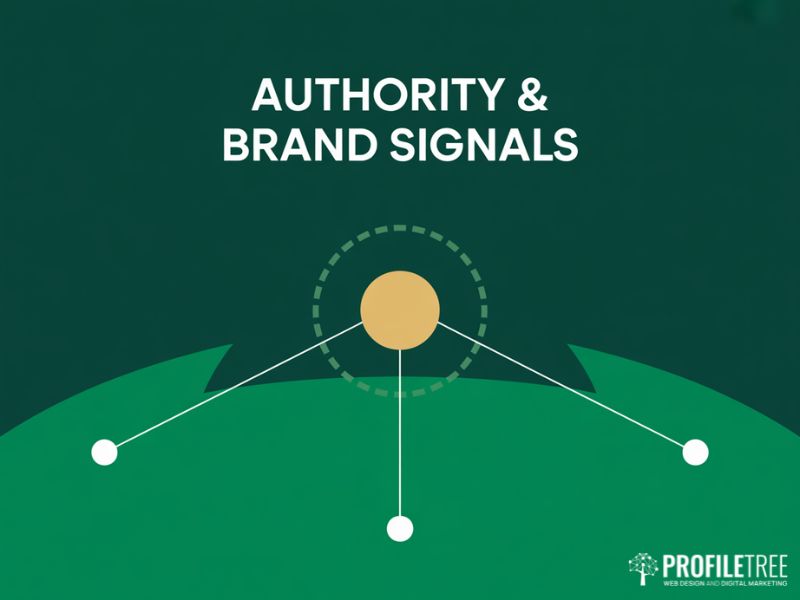Network diagram for SEO Audits authority section showing a central brand entity in gold connected to three independent mentions across the wider web