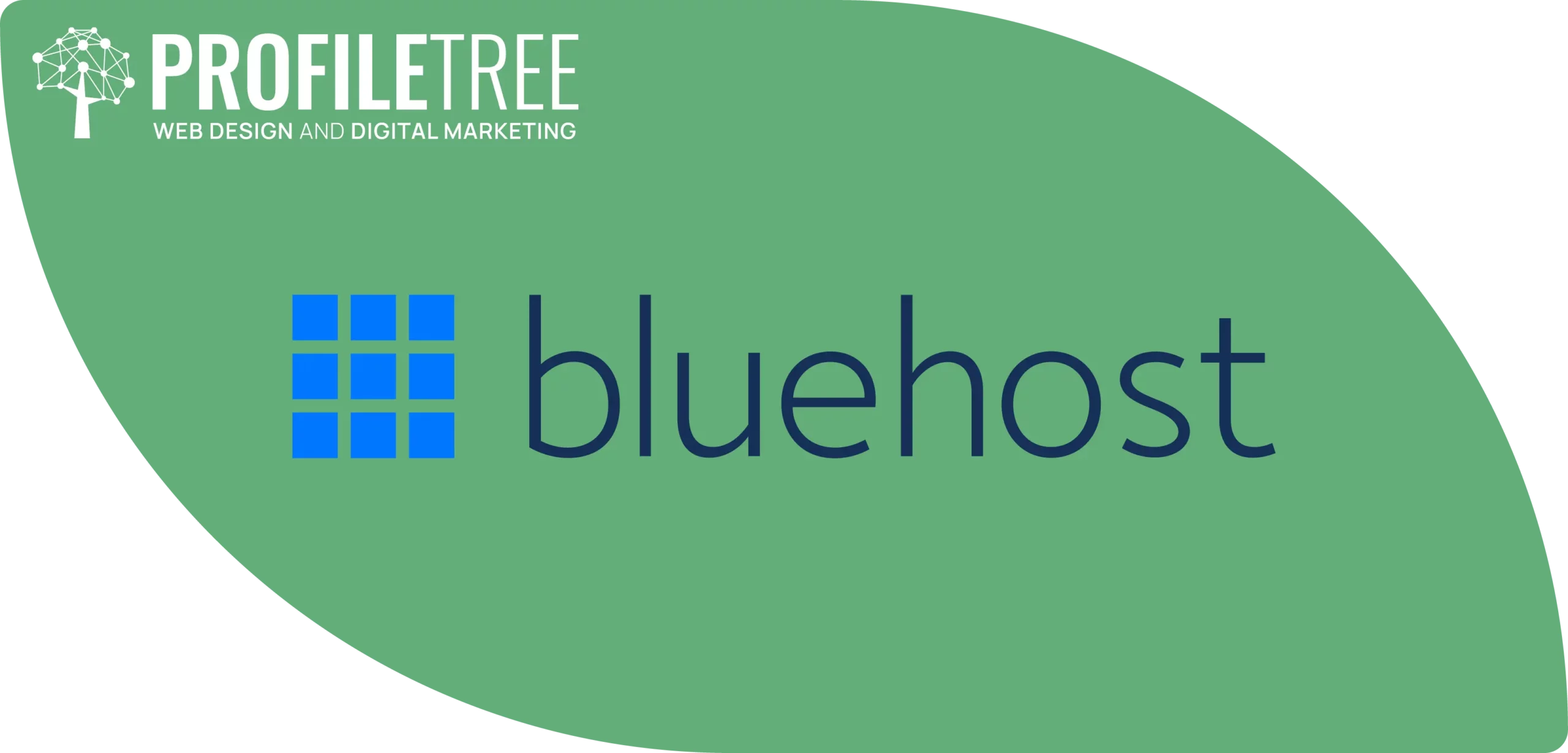 Hosting Companies: 3 Examples to Consider