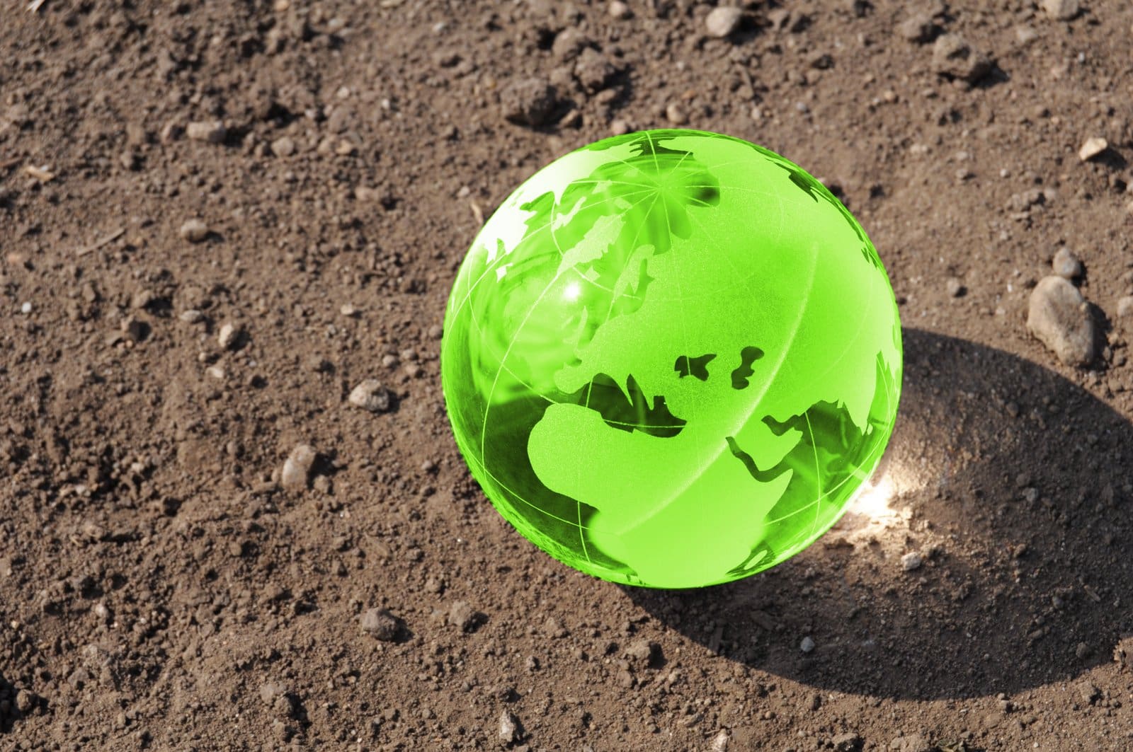 Businesses Going Green Statistics: How Maintaining Earth is Good for Business