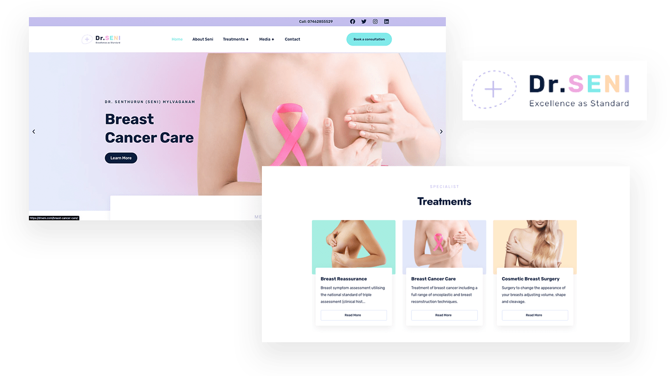 Screenshot of Dr Seni logo and web design sections