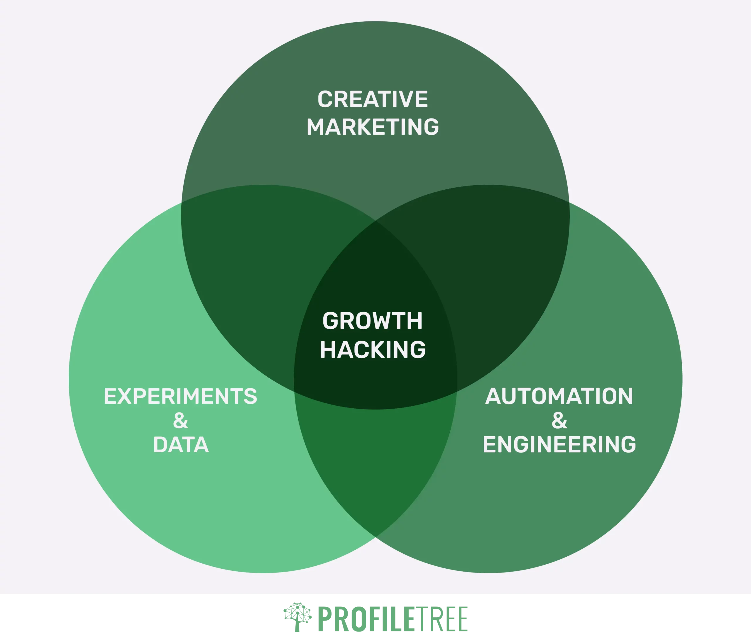 The Growth Hacker’s Brain