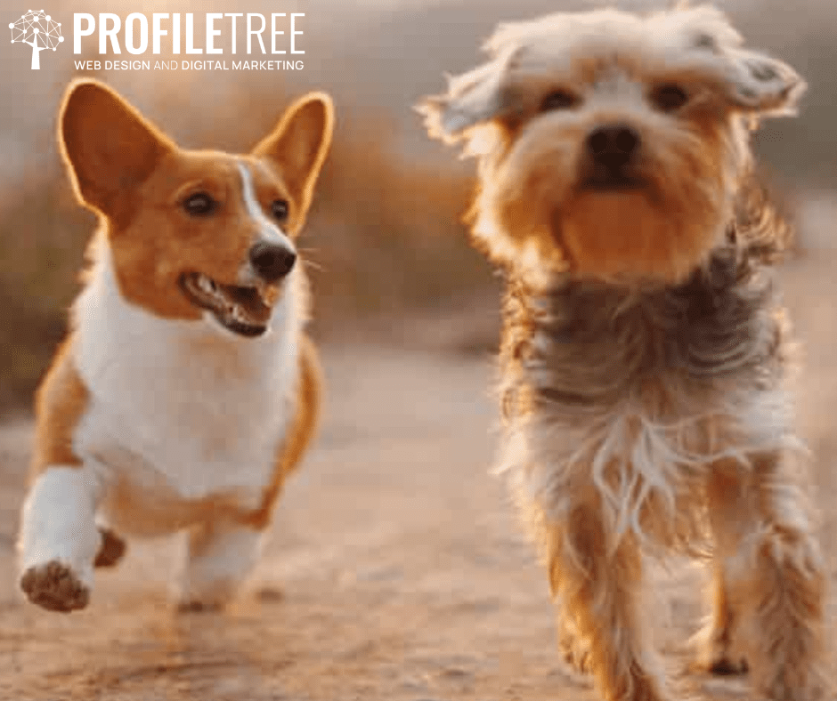 6 ways to add personality to your business' social media