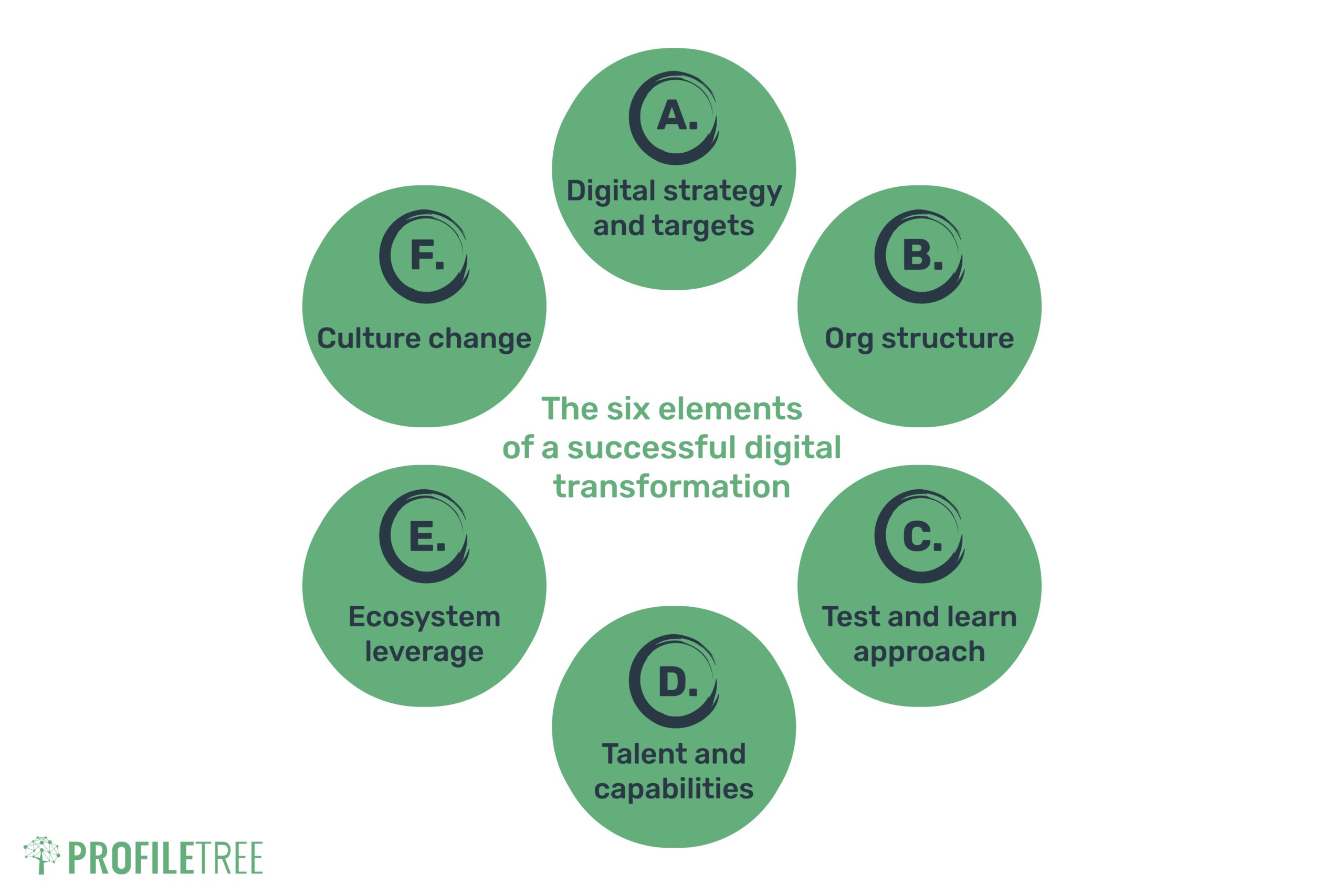 The McKinsey six step model