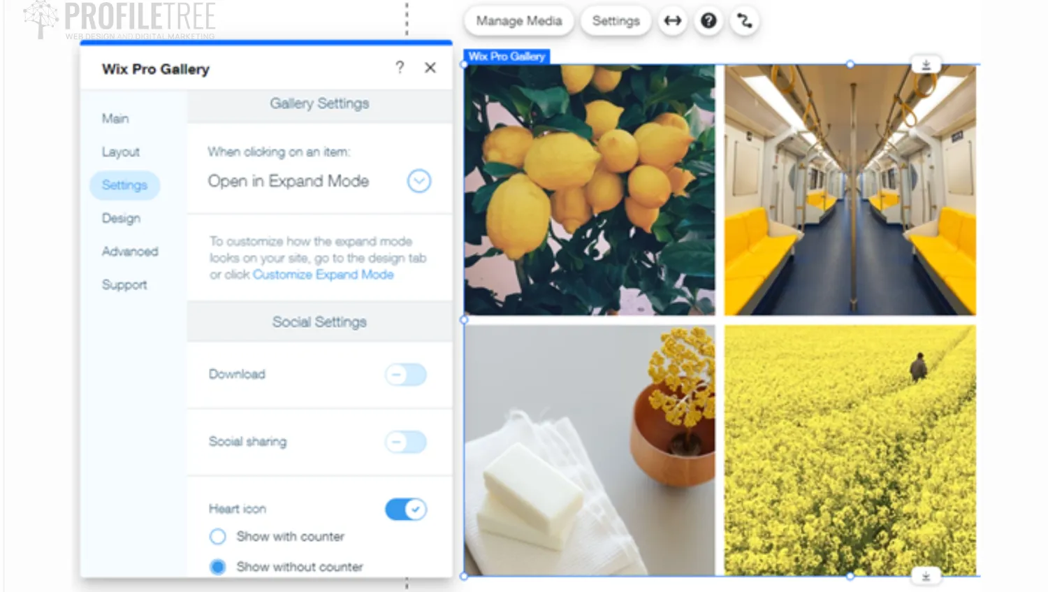 Wix Pro Gallery