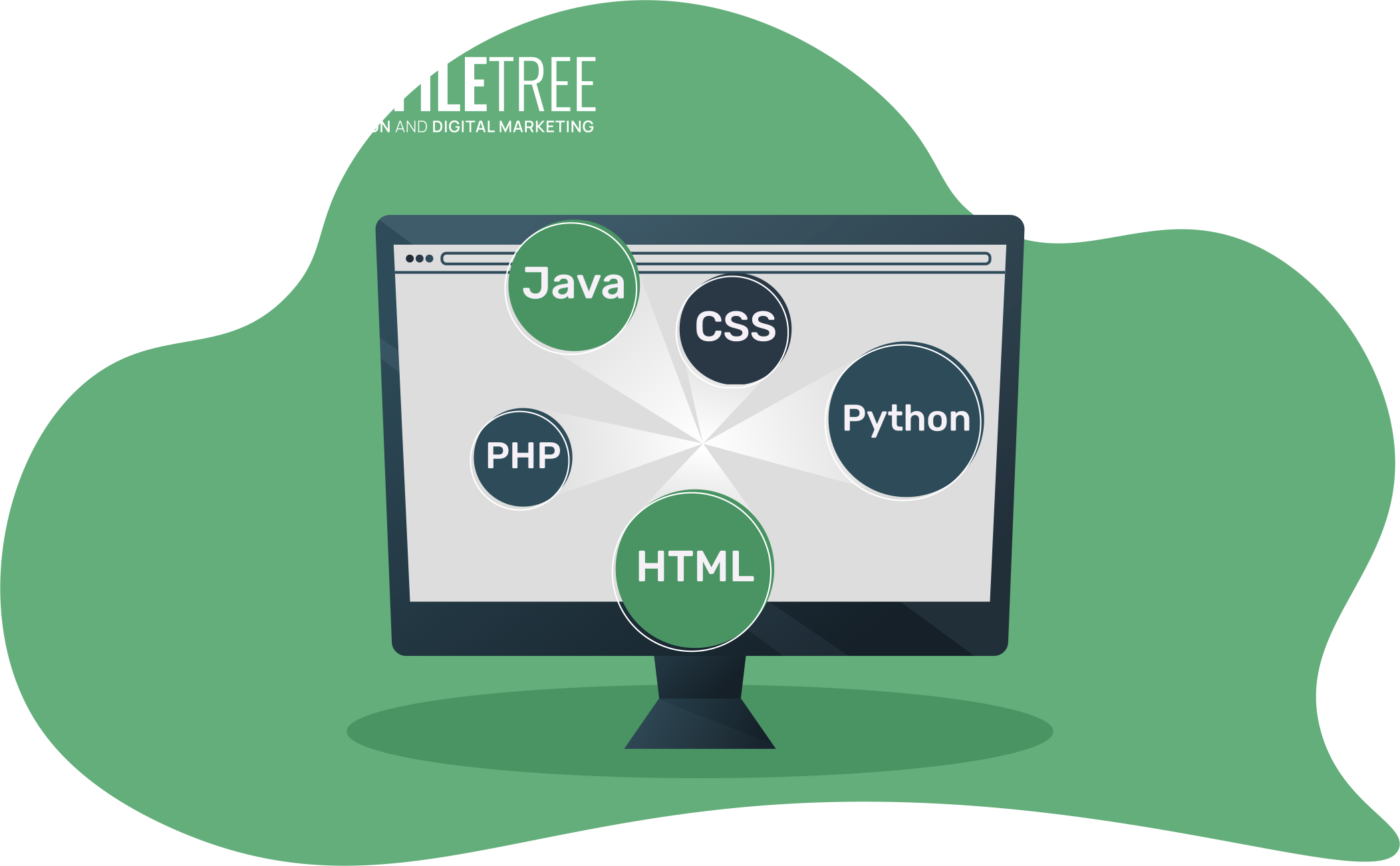 best programming languages 