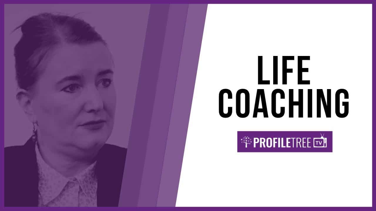 Could Executive Coaching Help Your Business? Life Coaching With Fiona Molloy