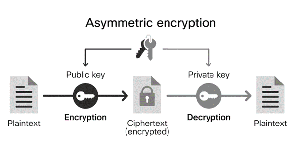 A diagram of asymmetric encryption. There are two keys, a public key and a private key. The public key is available to anyone, while the private key is kept secret. Data encrypted with the public key can only be decrypted with the private key, and vice versa.