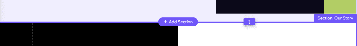 Build a Wix Website in 20