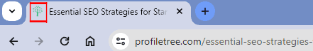 SEO Examples | Favicon