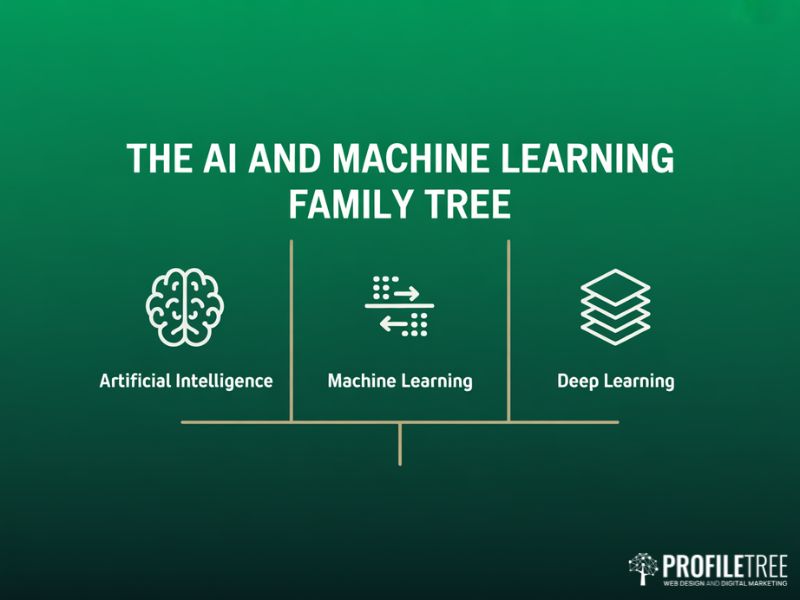 AI and Machine Learning family tree diagram showing the relationship between artificial intelligence machine learning and deep learning on green background