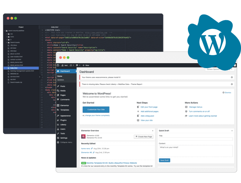 Web Design and Development