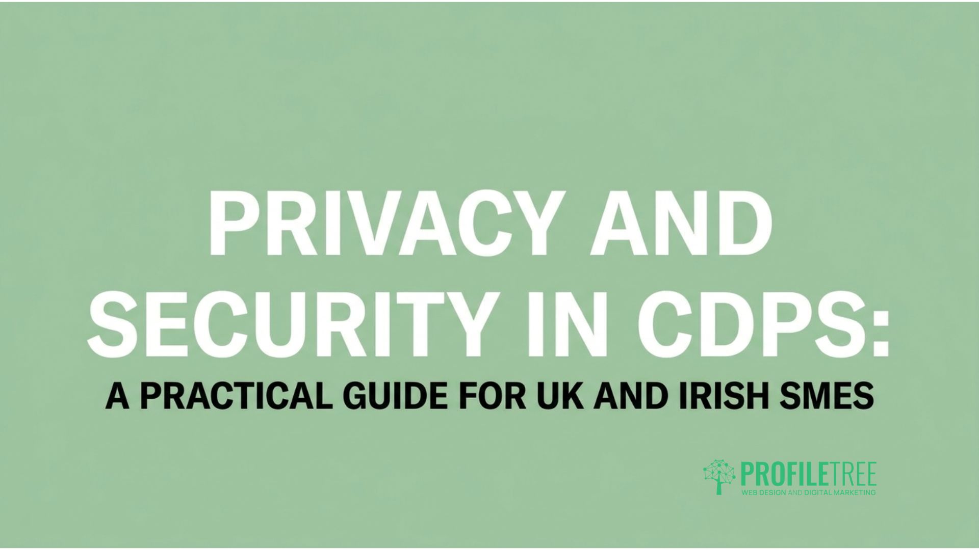 Privacy and Security in CDPs