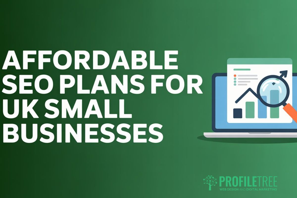 Affordable SEO Plans