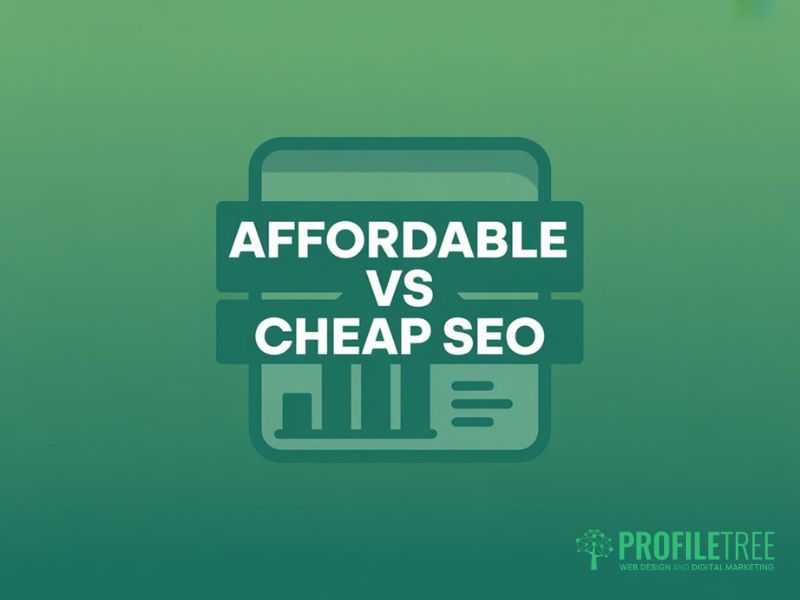 Affordable SEO Plans