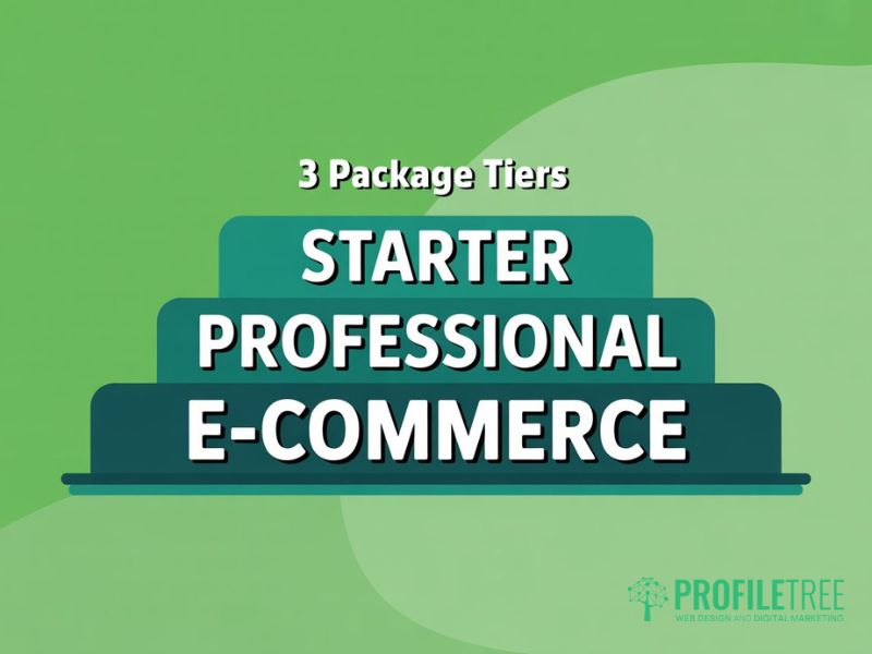Website Development Package