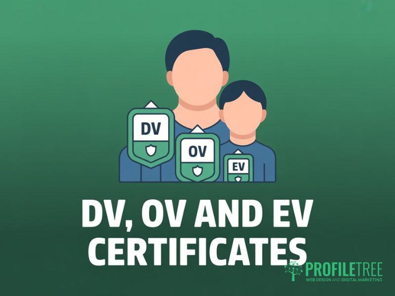 SSL certificates in SEO