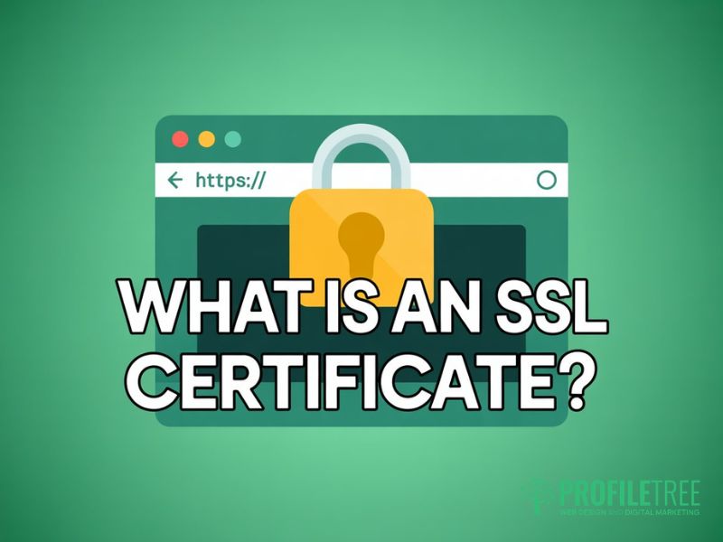SSL certificates in SEO