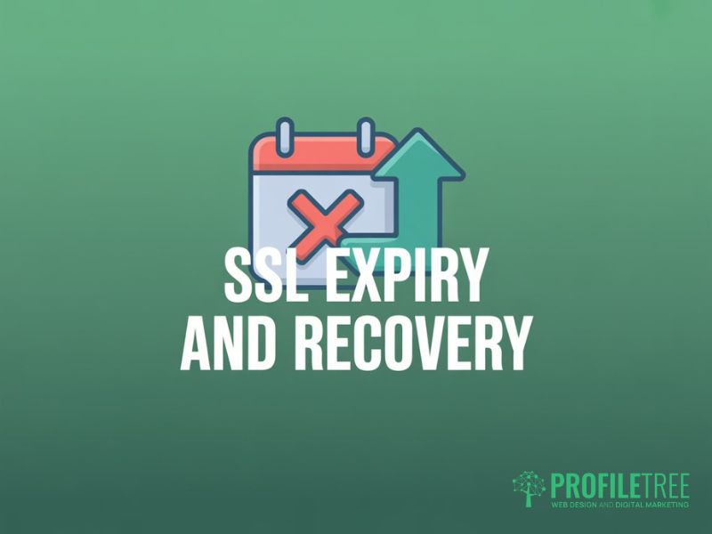 SSL certificates in SEO