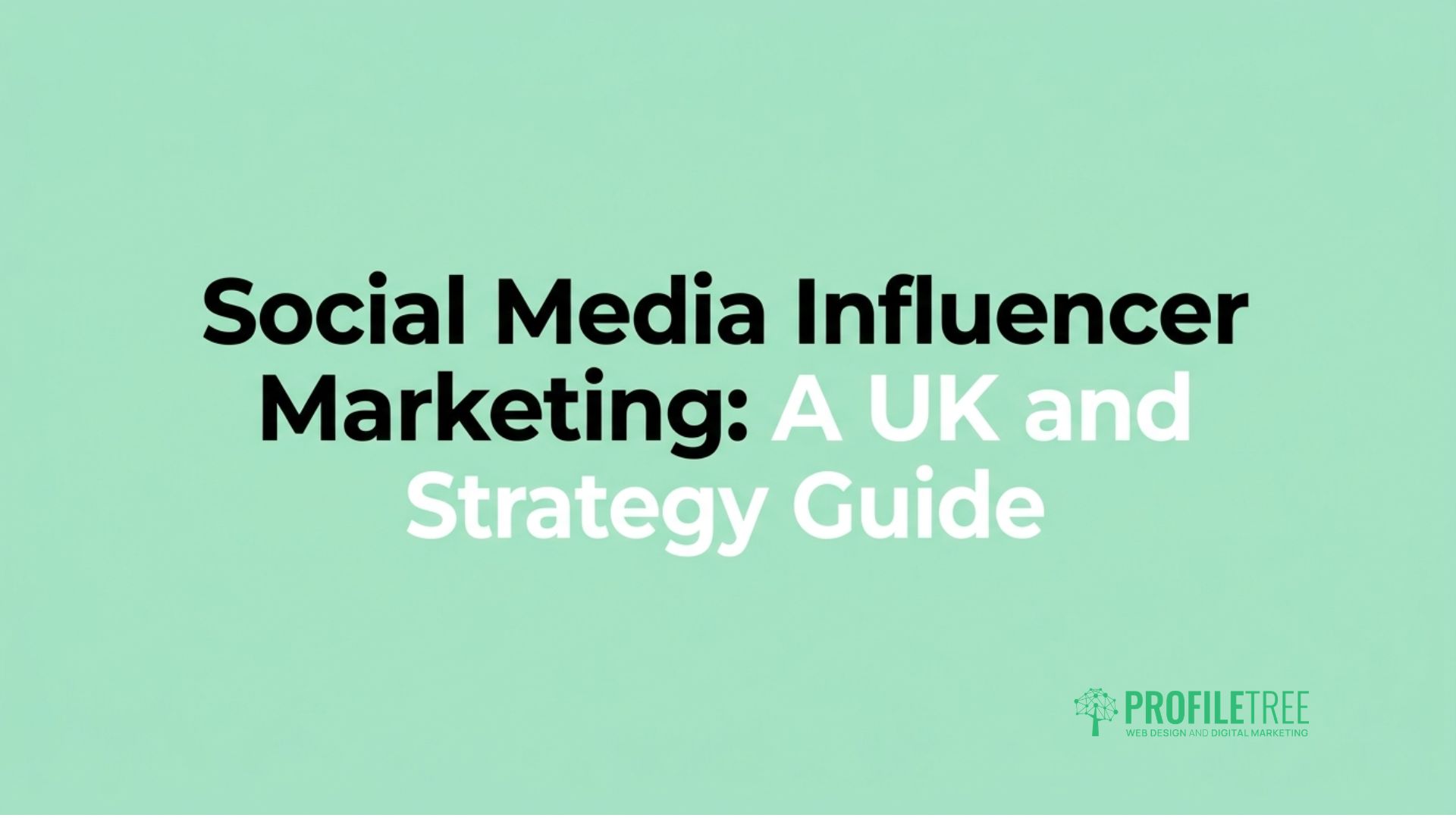 Social Media Influencer Marketing