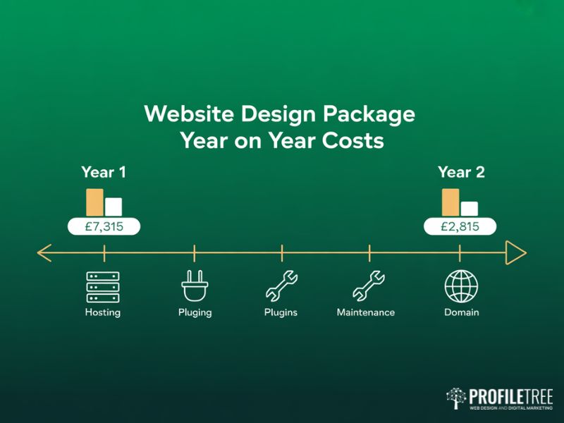 Year on year cost comparison for a Website Design Package showing Year 1 and Year 2 totals with hosting plugin maintenance and domain icons
