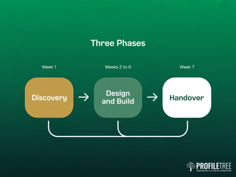 Three-phase process flow diagram for ProfileTree Branding & Website Packages showing discovery design build and handover