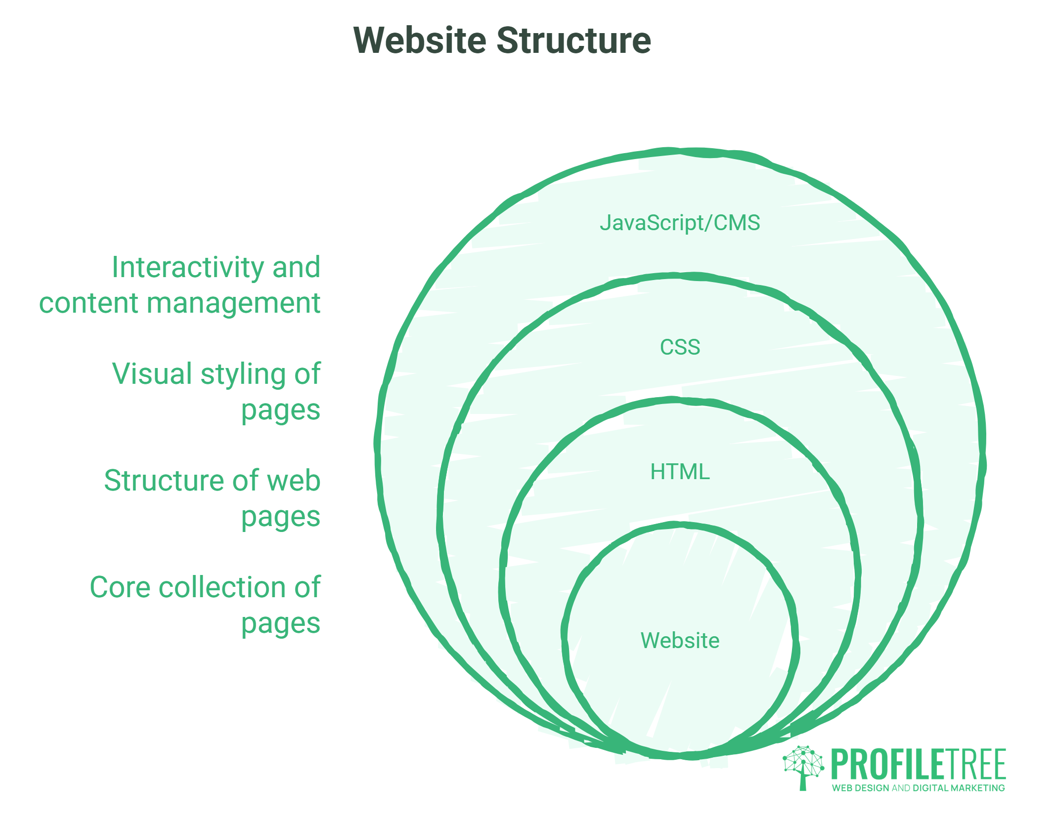 A diagram illustrating the purpose of a website with four nested circles labelled Website, HTML, CSS, and JavaScript/CMS. Descriptions for each layer appear on the left. ProfileTree logo is positioned at the bottom right.