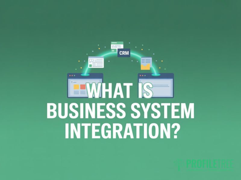 Business System Integration