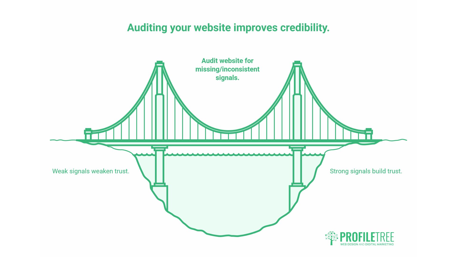 Cite a Website