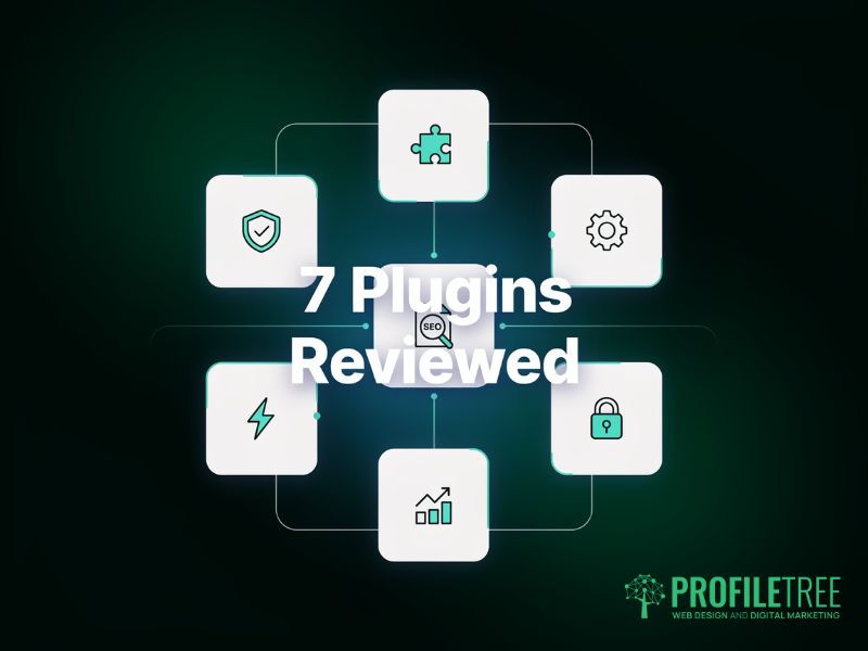 Website Security Audit Plugins