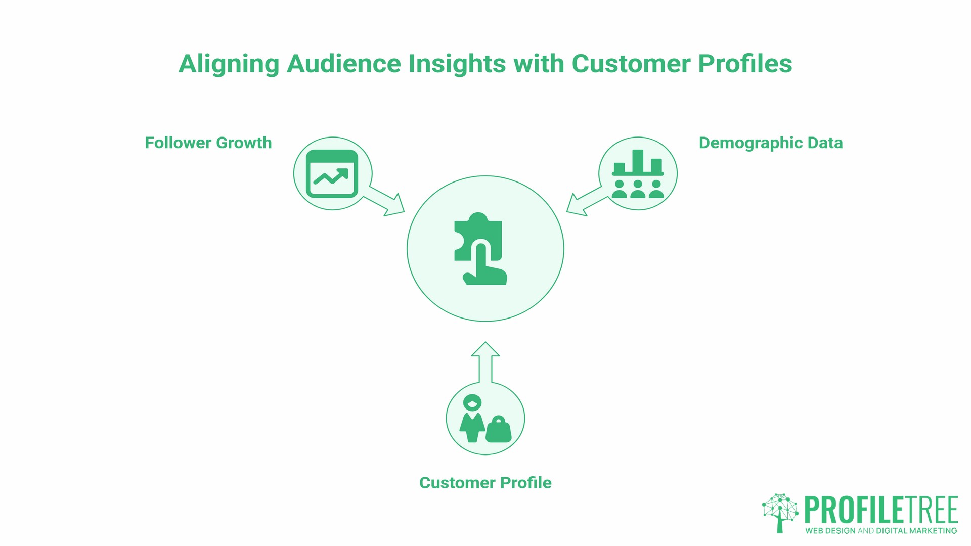 Social Media Audit, audience insight