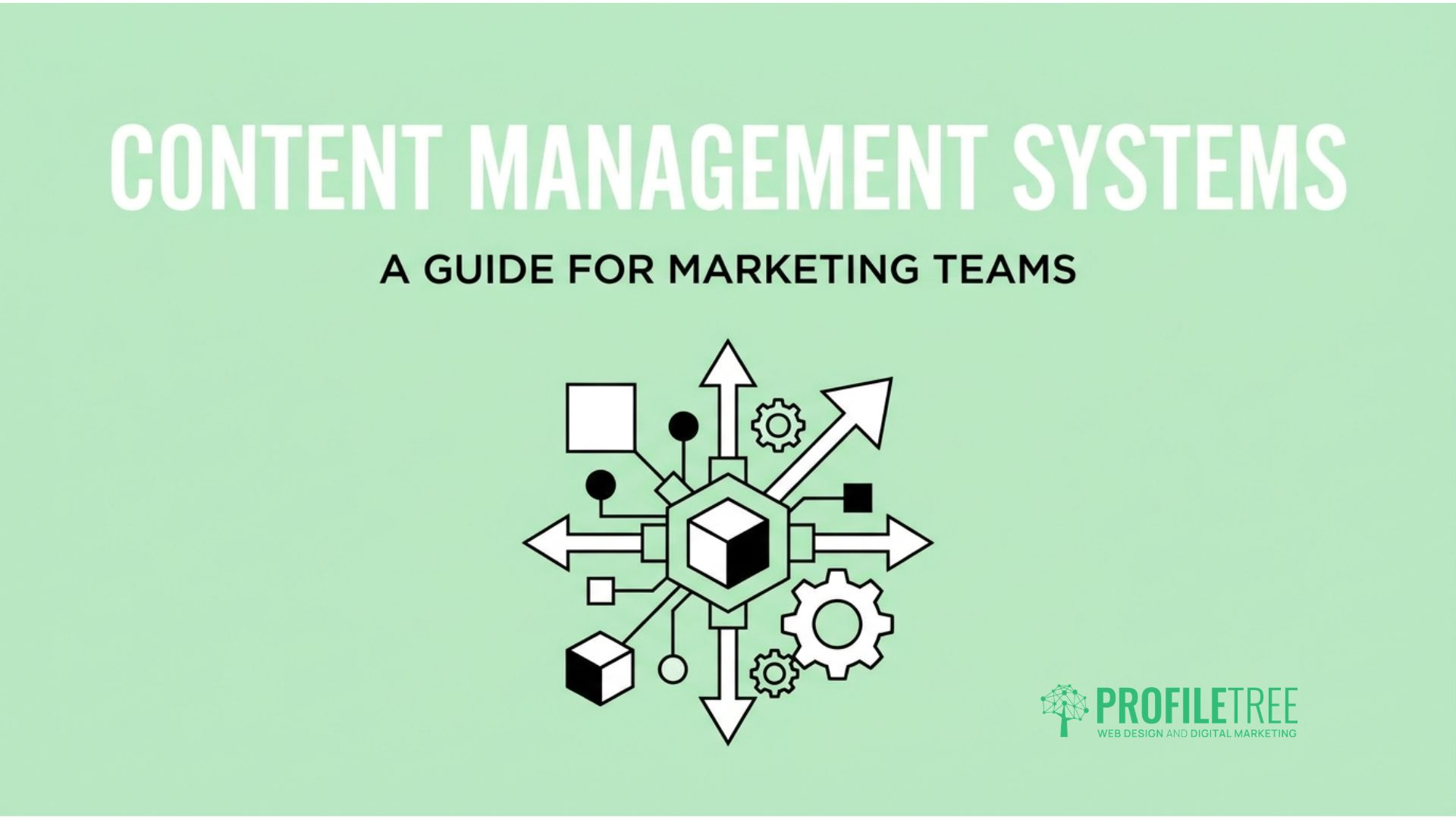 Content Management System