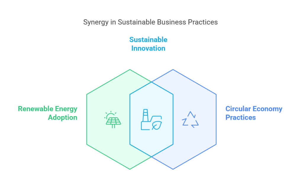Future Trends in Sustainable Business: Predictions for the Next Decade
