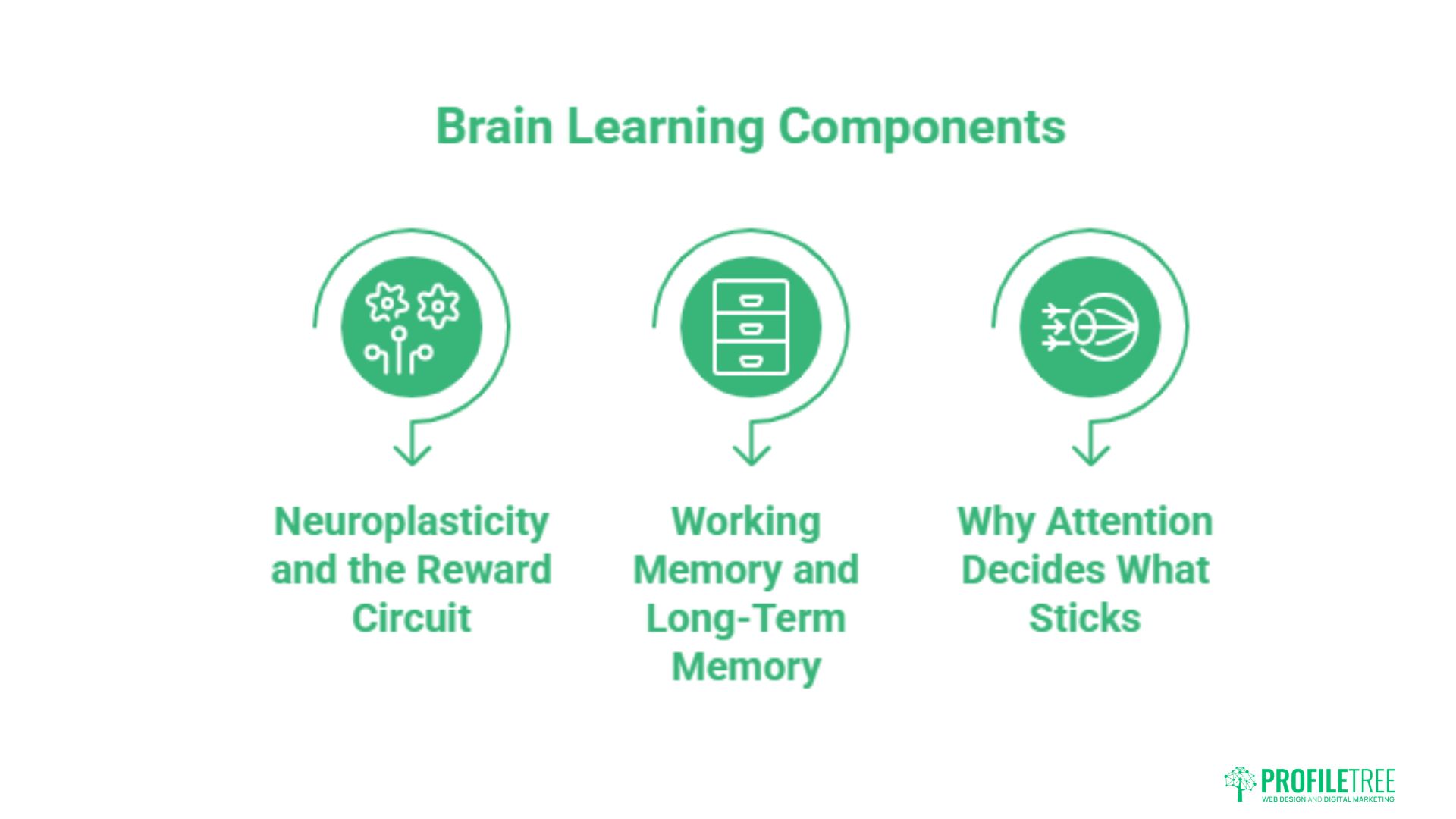 The Psychology of Learning: How We Retain Information