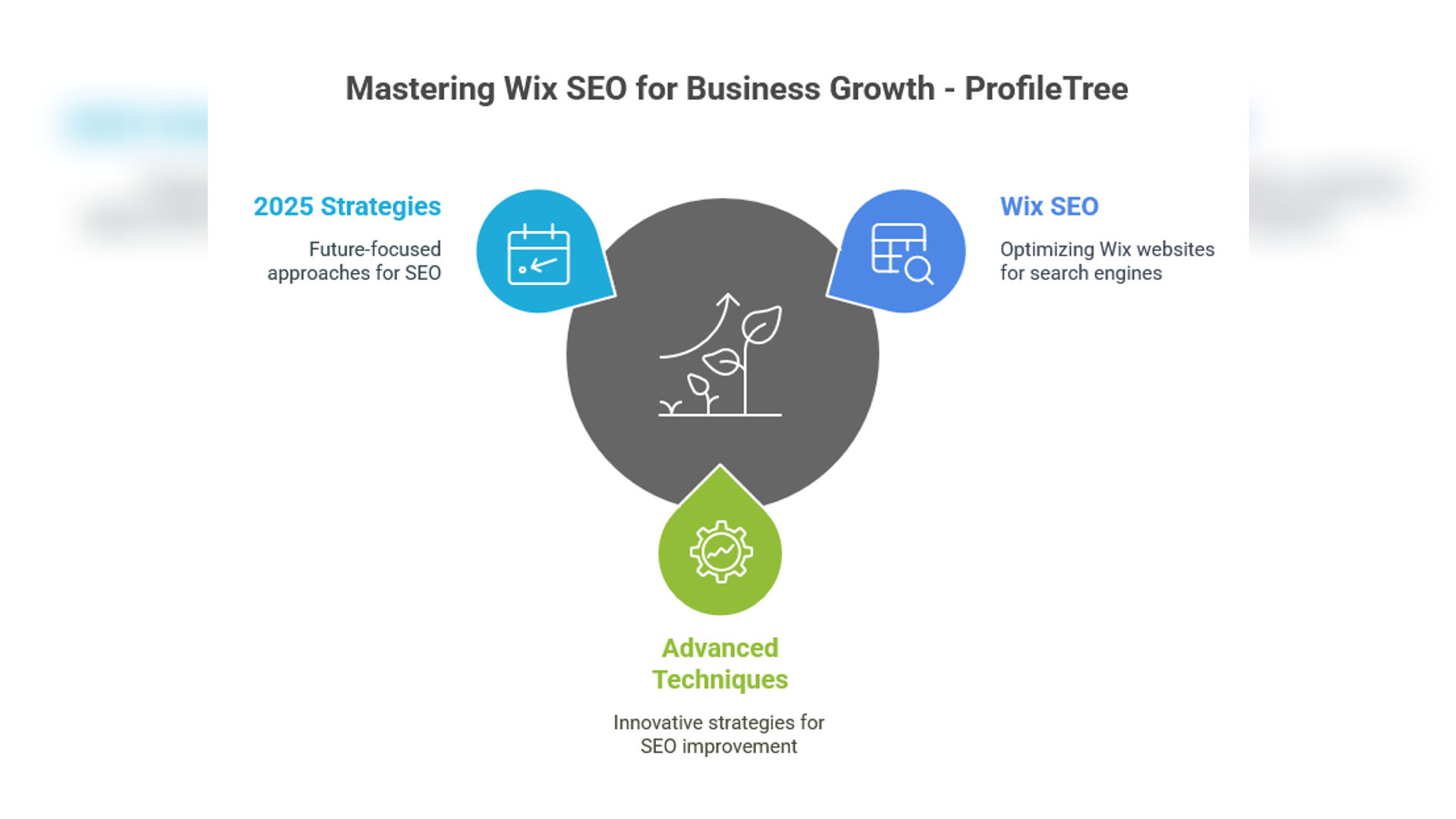 Wix SEO