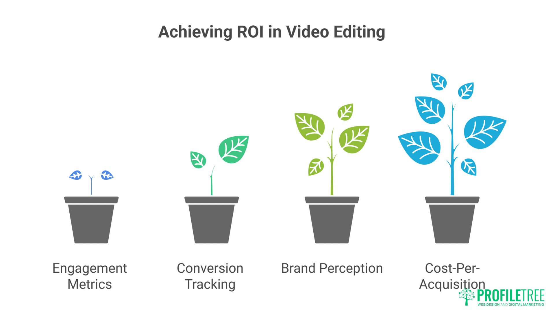 Professional Video Editing