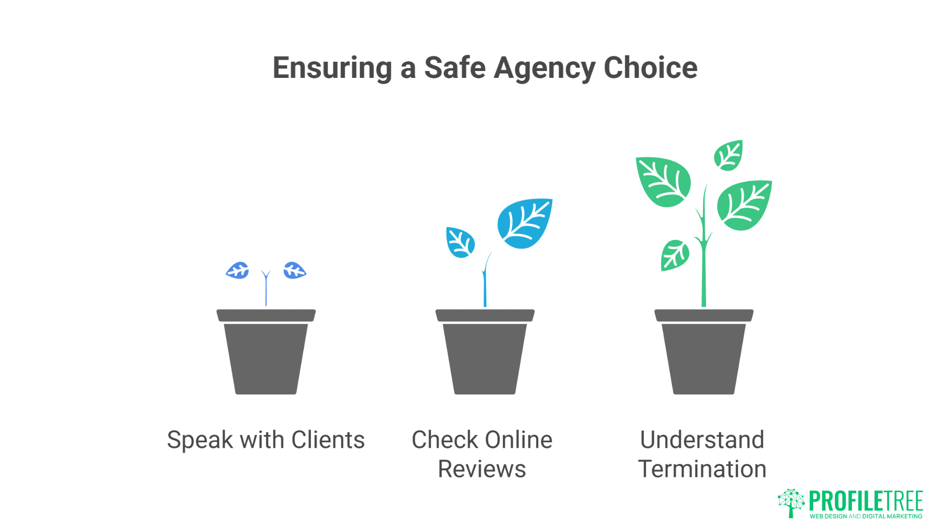 Questions to Ask SEO Companies