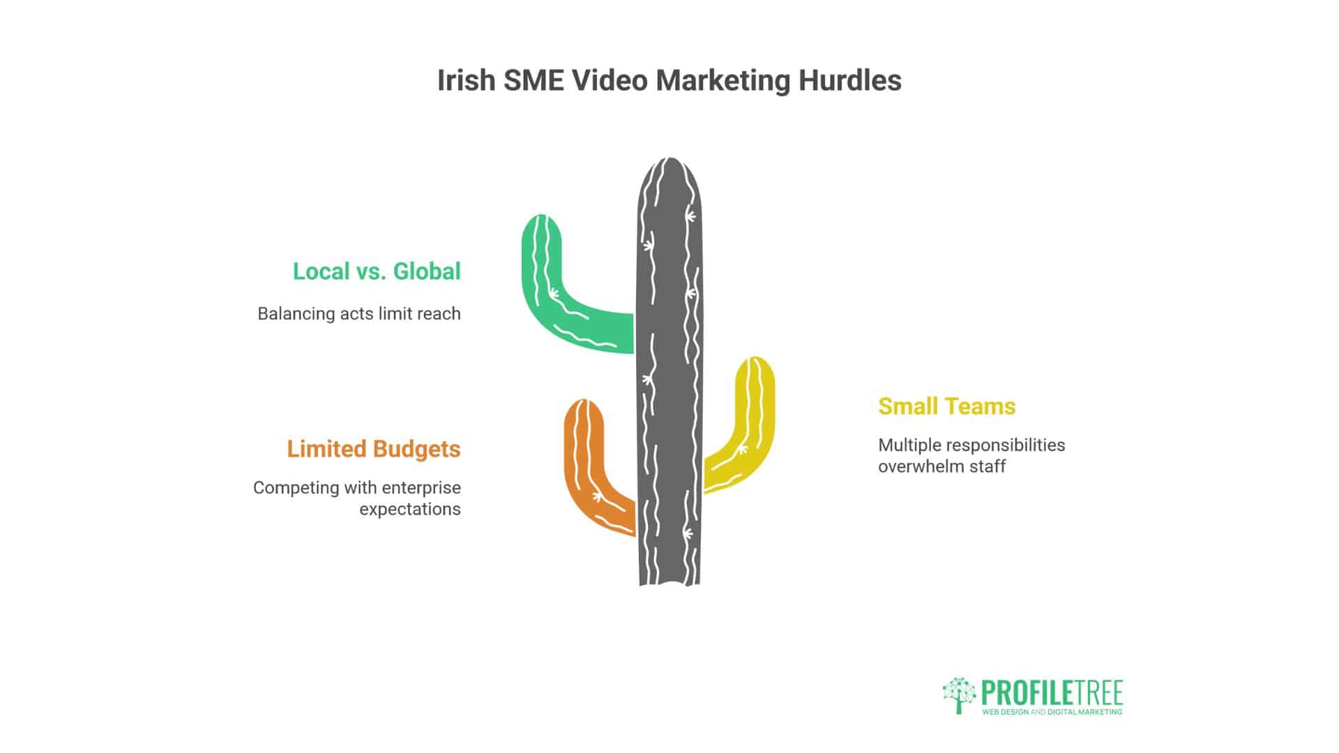 Video Marketing Strategy for Irish SMEs 