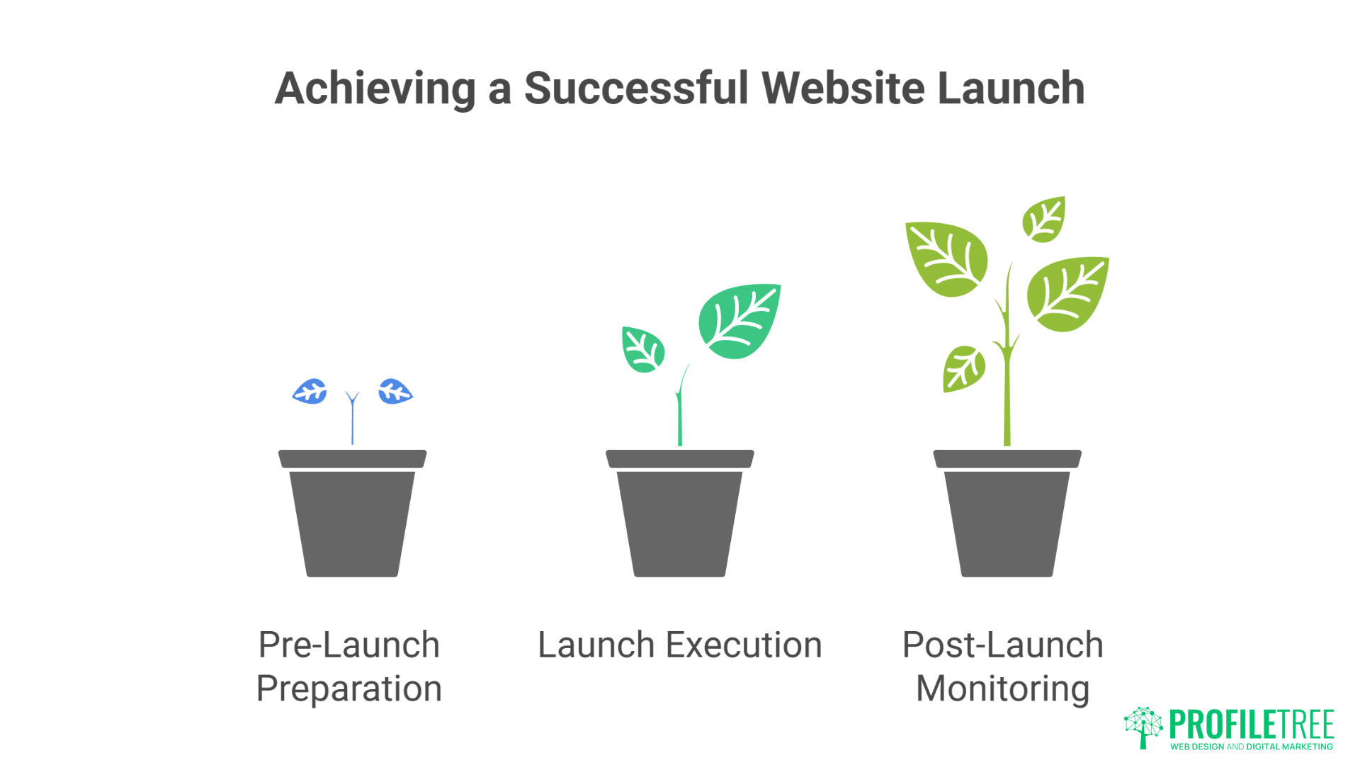Web Development in Northern Ireland