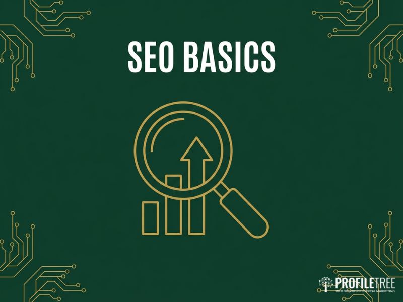 SEO basics hero graphic with a gold magnifying glass over a rising bar chart on a dark green background.