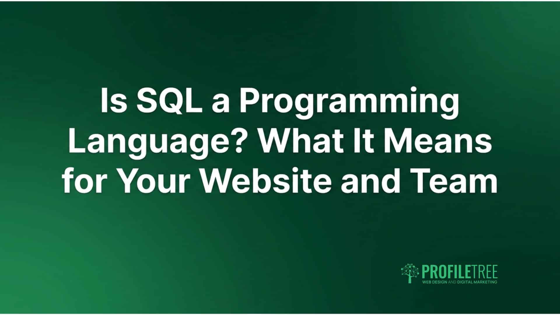 Is SQL Programming Language