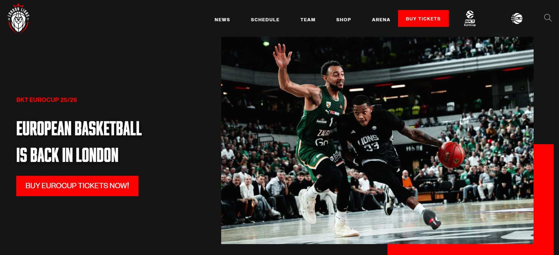 Two basketball players compete for the ball on a court during a game, highlighting fierce defense and skillful dribbling—an action-packed moment fit for any Sports Industry SEO Case Study. Spectators fill the stands in the background.