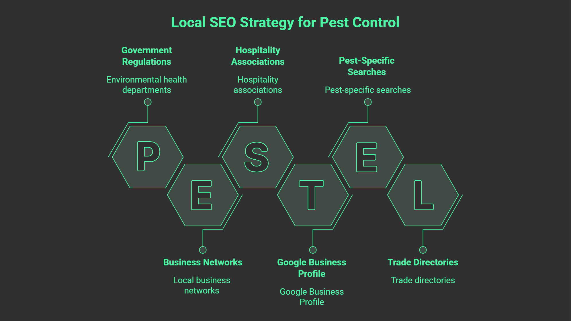 A diagram titled Local SEO Strategy for Pest Control shows six hexagons labeled PESTEL, each linked to resources essential for SEO for pest control: government regulations, business networks, Google Business Profile, and trade directories.