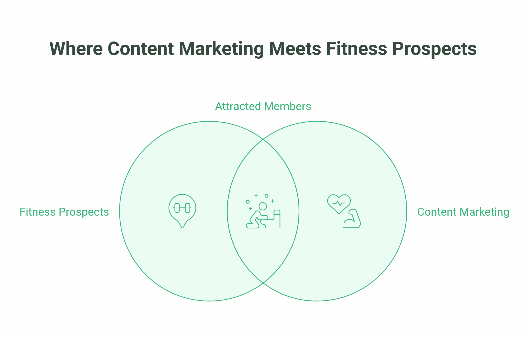 SEO for Gyms and Fitness Centres