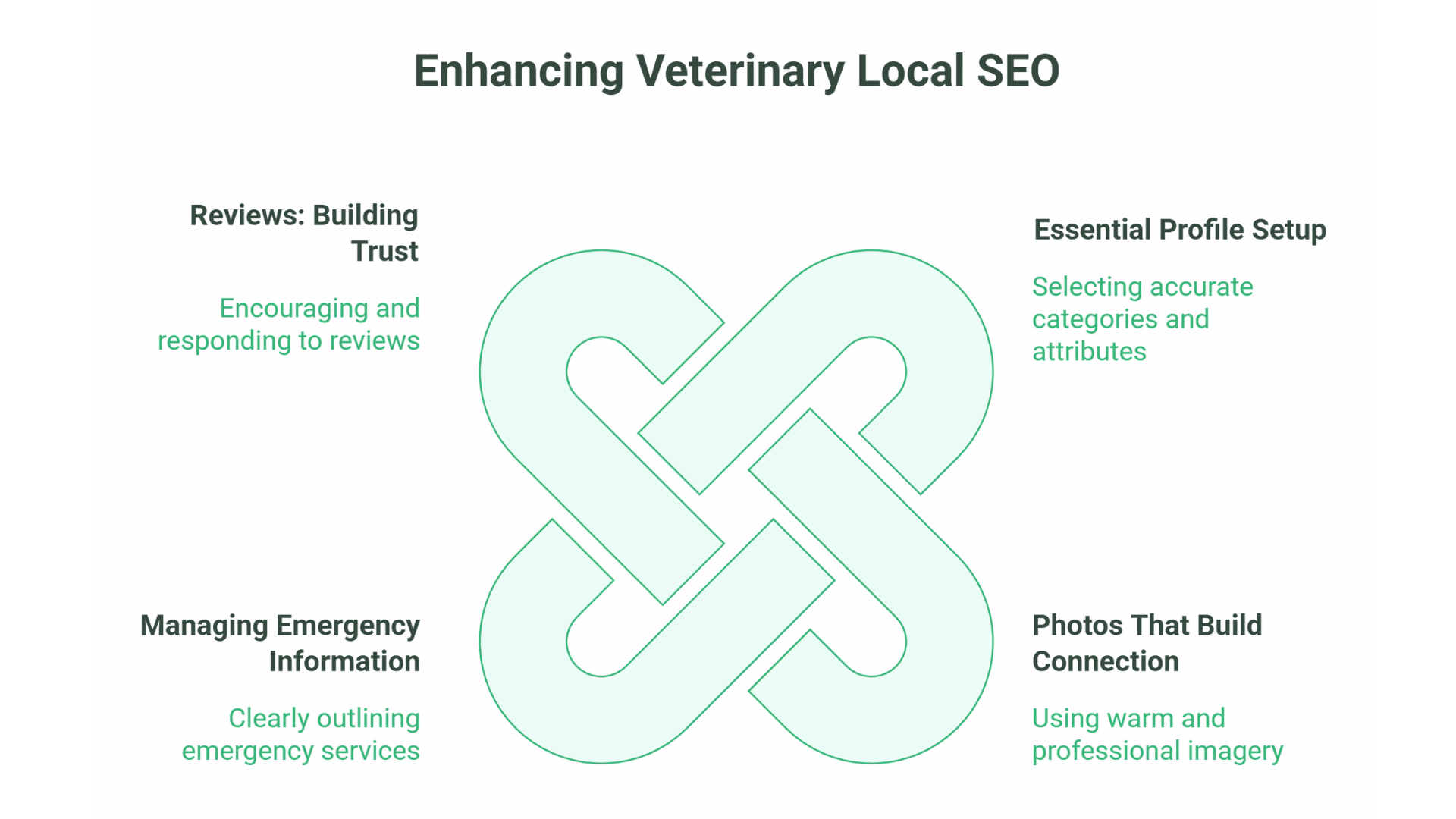 SEO for Vets